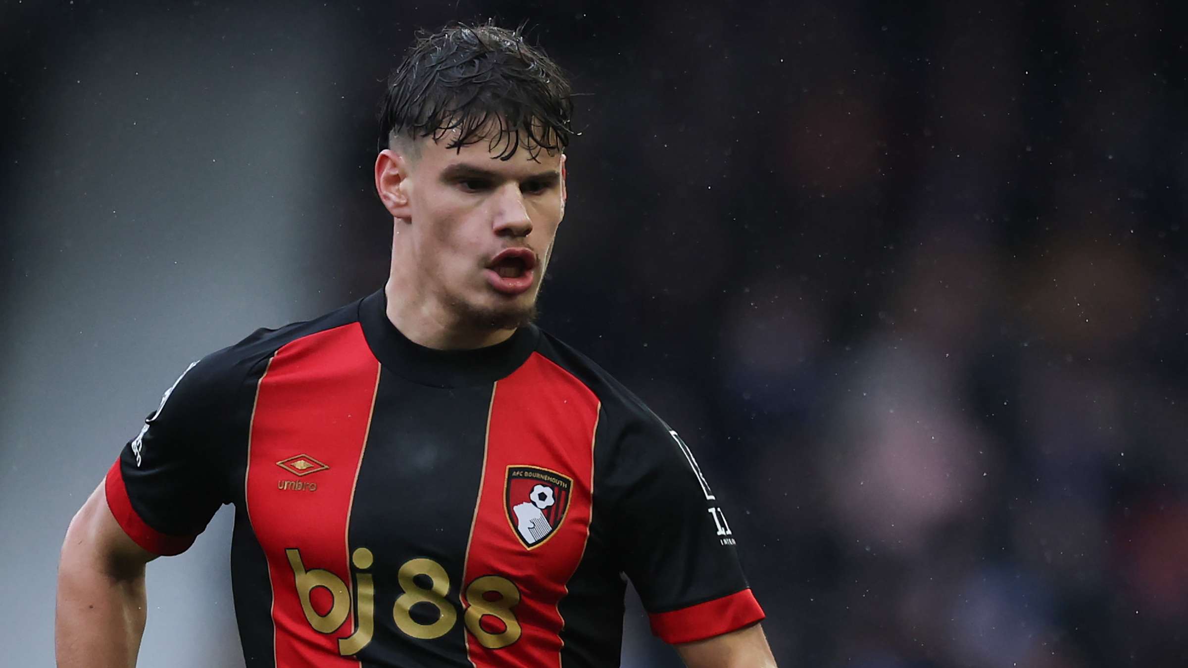 而这些品质 而这些品质